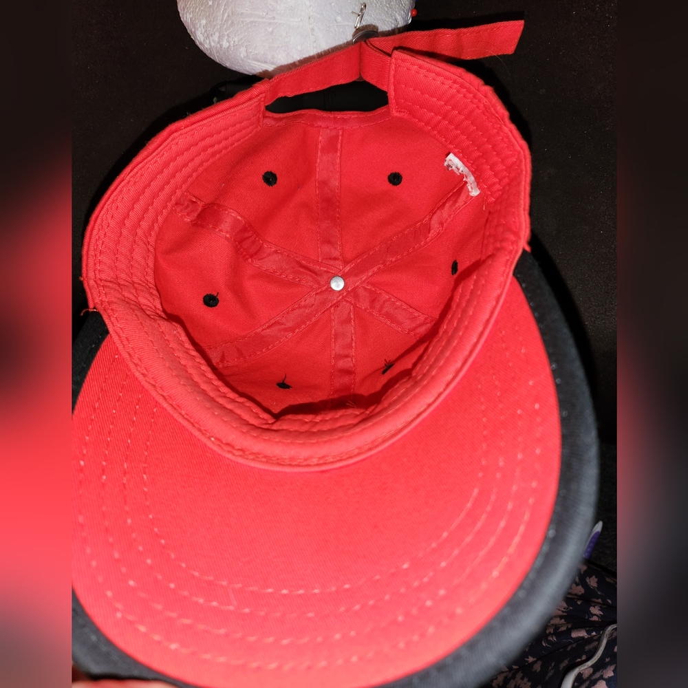 Hat - Picture 2 of 4